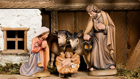 Fir Tree pine nativity scene