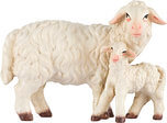 Pecora con agnello