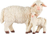 Sheep with lamb