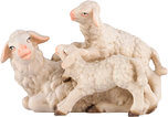 Pecore con agnelli