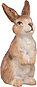 Coniglio in piedi