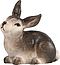 Coniglio sdraiato