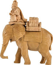 Elefante con conducente e bagaglio