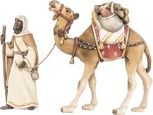 Kamel mit Treiber und Gepäck