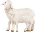 Schaf stehend mit Lamm