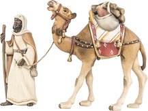 Camel with Driver and Baggage