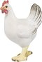 Standing White Hen