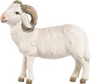 Ram