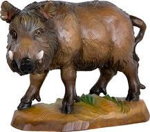 Wild Boar