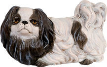 Pekingese