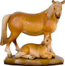 Haflinger with Colt