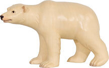 Polar bear male