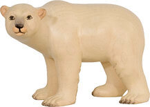 Polar bear female