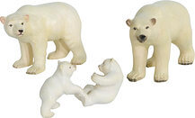 Group of 4 polar bears