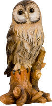 Brown owl