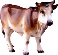 Ox