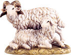 Ram with sheep