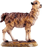 Llama Llama