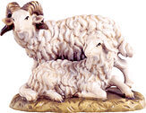 Ram with sheep