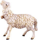 Sheep bleating