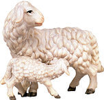 Sheep with lamb