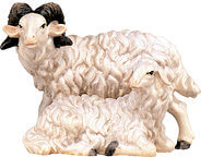 Ram with sheep