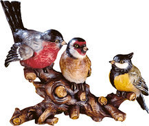 Vogelgruppe