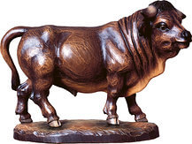 Bull Bull