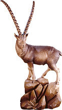 Ibex