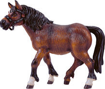 Sorrel horse
