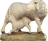 Sheep with lamb