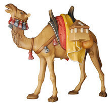 Camel